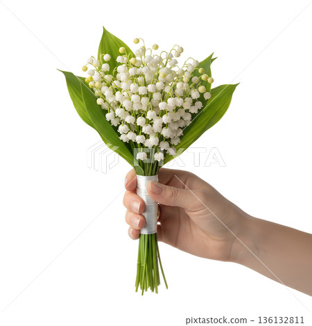 Hand cradles a small, delicate bouquet of white lily of the valley blooms with green leaves, symbolizing spring, purity, and happiness Hand cradles a small, delicate bouquet of white lily of the valley blooms with green leaves, symbolizing spring, purity, and happiness 136132811