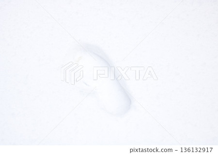 Solitary footprint in fresh snow evokes mystery and tranquility in winter landscape 136132917