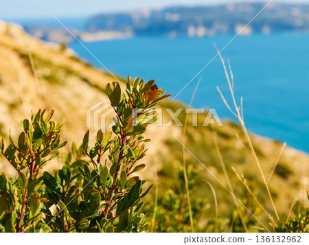 Cape San Antonio, seascape in Spain 136132962