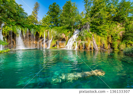 Beautiful waterfalls and lakes at Plitvice national nature park, Croatia. Fresh water stream in peaceful nature. Harmony and meditation, concept of peace and meditation in nature. Beautiful waterfalls and lakes at Plitvice national nature park, Croatia. Fresh water stream in peaceful nature. Harmony and meditation, concept of peace and meditation in nature. 136133307