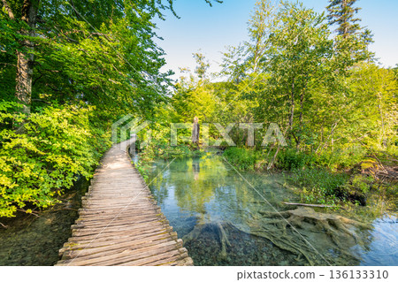Wooden footpath at Plitvice national park, Croatia. Pathway in the forest near the lake and waterfall. Fresh beautiful nature, peaceful place. Famous tourist destination. Wooden footpath at Plitvice national park, Croatia. Pathway in the forest near the lake and waterfall. Fresh beautiful nature, peaceful place. Famous tourist destination. 136133310