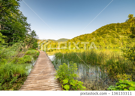Wooden footpath at Plitvice national park, Croatia. Pathway in the forest near the lake and waterfall. Fresh beautiful nature, peaceful place. Famous tourist destination. Wooden footpath at Plitvice national park, Croatia. Pathway in the forest near the lake and waterfall. Fresh beautiful nature, peaceful place. Famous tourist destination. 136133311