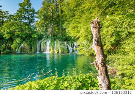 Beautiful waterfalls and lakes at Plitvice national nature park, Croatia. Fresh water stream in peaceful nature. Harmony and meditation, concept of peace and meditation in nature. Beautiful waterfalls and lakes at Plitvice national nature park, Croatia. Fresh water stream in peaceful nature. Harmony and meditation, concept of peace and meditation in nature. 136133312