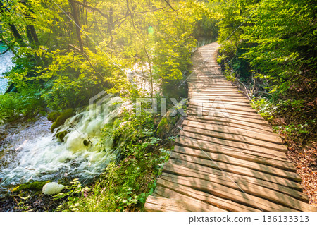 Wooden tourist path at forest, Plitvice national park, Croatia. Fresh and beautiful nature, soft light. Wooden tourist path at forest, Plitvice national park, Croatia. Fresh and beautiful nature, soft light. 136133313
