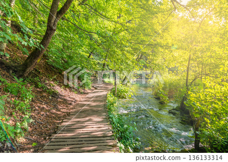 Wooden tourist path at forest, Plitvice national park, Croatia. Fresh and beautiful nature, soft light. Wooden tourist path at forest, Plitvice national park, Croatia. Fresh and beautiful nature, soft light. 136133314