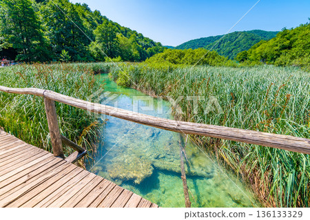 Wooden footpath at Plitvice lakes, Croatia. Road in the forest near beautiful lakes. Peaceful place in national park. Wooden footpath at Plitvice lakes, Croatia. Road in the forest near beautiful lakes. Peaceful place in national park. 136133329