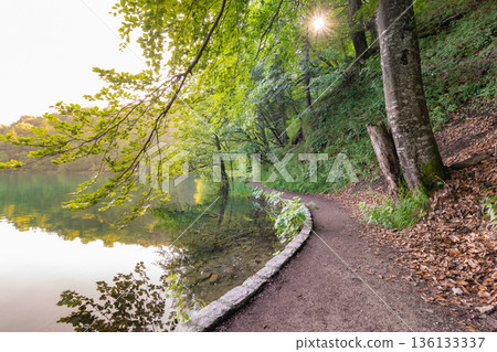 Wooden footpath at Plitvice lakes, Croatia. Road in the forest near beautiful lakes. Peaceful place in national park. 136133337