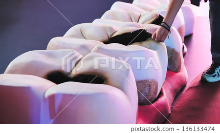 Giant teeth model showing dental cavities and tooth decay for health education exhibit Giant teeth model showing dental cavities and tooth decay for health education exhibit 136133474
