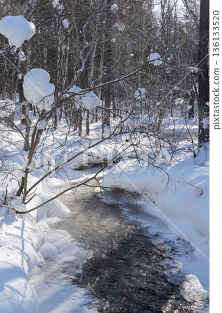 Narrow winter stream flows through a snowy forest, with frozen banks, bare trees, and soft sunlight reflecting on icy water 136133520