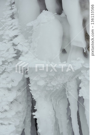 Delicate white ice formations grow along frozen surfaces at Lake Baikal, creating layered crystalline textures in winter conditions Delicate white ice formations grow along frozen surfaces at Lake Baikal, creating layered crystalline textures in winter conditions 136133566