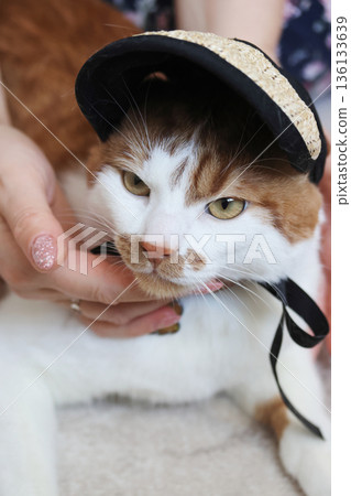 Woman holding a cat. Wearing a sun visor. Ginger and white cat close-up. 136133639