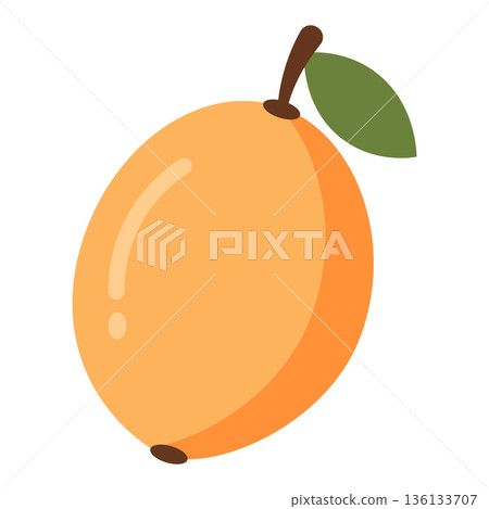 Single Orange Loquat Fruit with Leaf, Flat Design Illustration 136133707