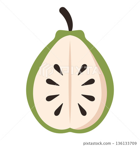 Cross Section of a Soursop Fruit with Seeds, Flat Design Illustration 136133709