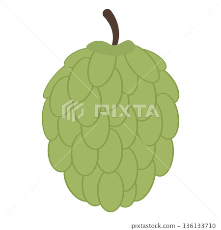 Whole Custard Apple Fruit, Flat Design Illustration 136133710
