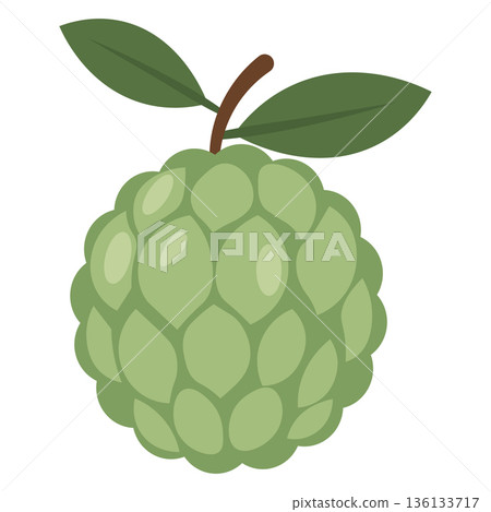 A whole custard apple with segmented green skin and two leaves, isolated on white, flat art 136133717