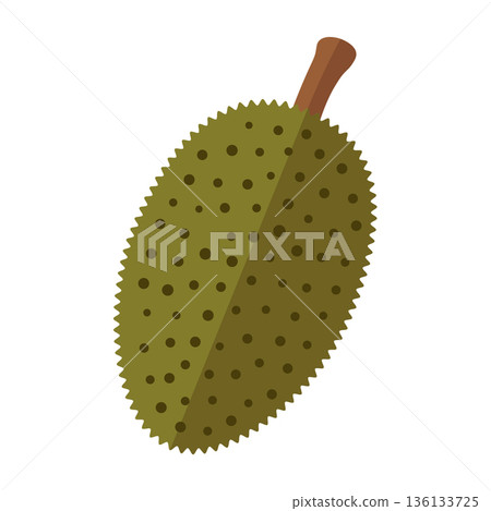 A whole green jackfruit with spiky rind and a stem, flat vector illustration on white 136133725