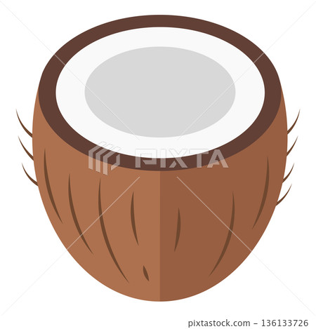 Cross-section of a brown coconut with white flesh and thin fibrous shell, flat vector icon 136133726