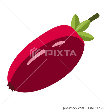 Single ripe red barberry fruit, elongated shape with green leaves and stem, healthy food illustration Single ripe red barberry fruit, elongated shape with green leaves and stem, healthy food illustration 136133738