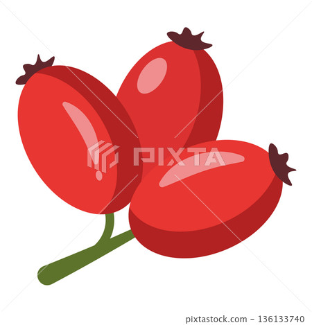 Three bright red rosehip fruits on a stem, healthy food illustration, simple flat design, isolated Three bright red rosehip fruits on a stem, healthy food illustration, simple flat design, isolated 136133740