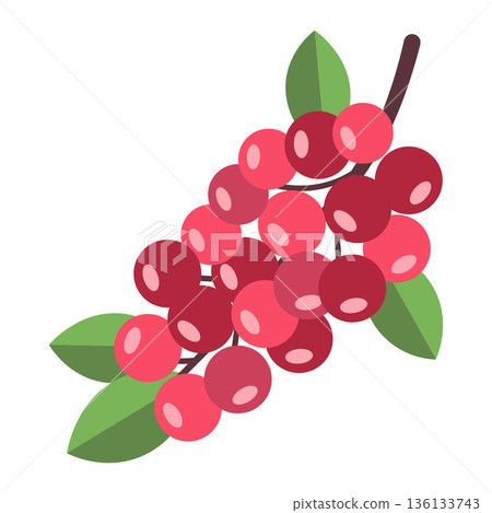 Cluster of red lingonberries with green leaves on a branch, healthy berries illustration, simple flat design Cluster of red lingonberries with green leaves on a branch, healthy berries illustration, simple flat design 136133743