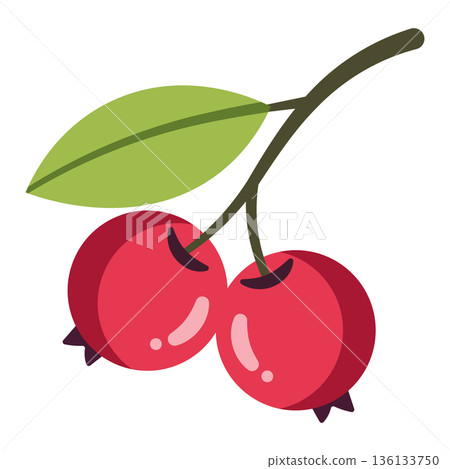 Two red berries on a stem with a green leaf, simple flat illustration, isolated on white. 136133750