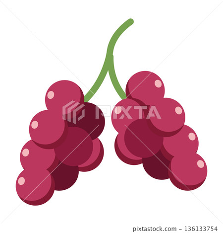 Two bunches of deep red grapes on green stems, simple flat illustration, isolated on white. 136133754