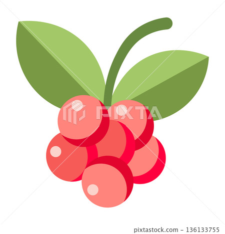 Cluster of pinkish-red berries with green leaves, simple flat illustration, isolated on white. 136133755
