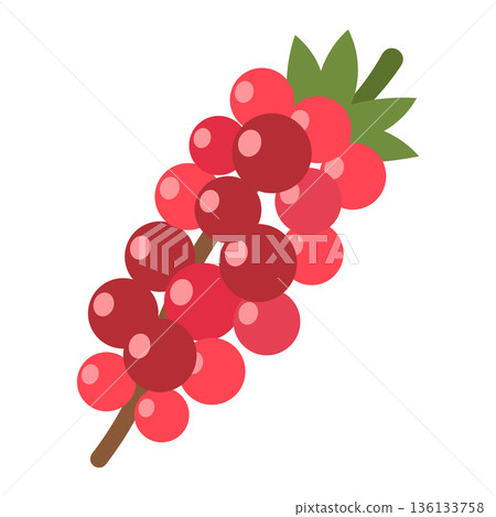 Bunch of red berries on a stem with leaves, simple flat illustration, isolated on white. 136133758