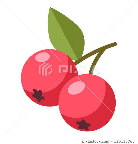 Two bright red berries with green leaves, simple flat illustration, isolated on white. 136133765