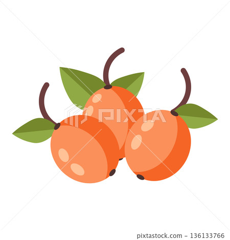 Three orange berries with green leaves, simple flat illustration, isolated on white. 136133766
