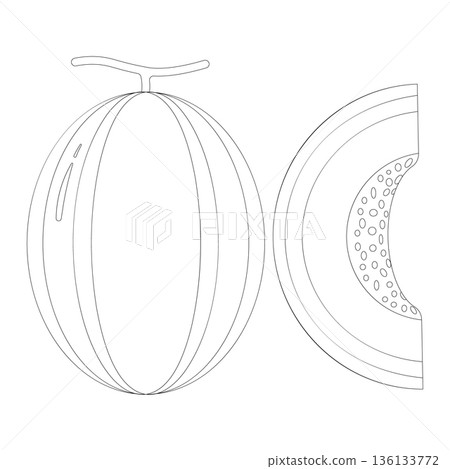 Outline illustration of a whole melon and a slice of cantaloupe on a white background. 136133772