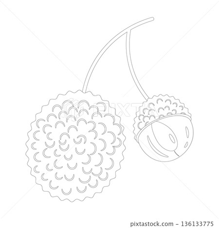 Outline illustration of two lychees, one whole and one halved, on a stem. Outline illustration of two lychees, one whole and one halved, on a stem. 136133775