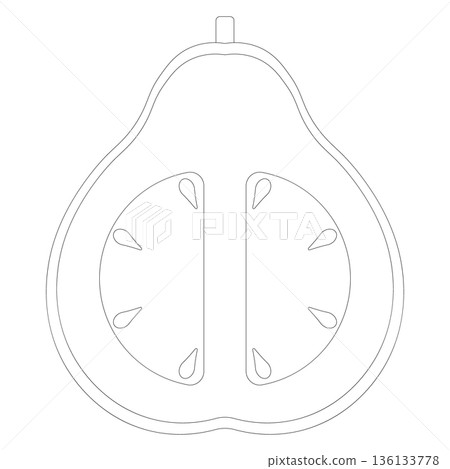 Outline illustration of a halved guava with seeds, isolated on a white background. 136133778