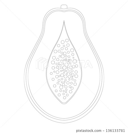 Outline illustration of a halved papaya with seeds, isolated on a white background. Outline illustration of a halved papaya with seeds, isolated on a white background. 136133781