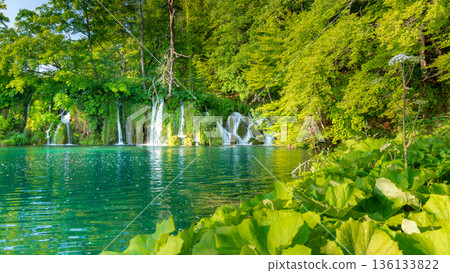 Plitvice lakes, Croatia. View of beautiful lakes, waterfalls and forest at national nature park. 136133822