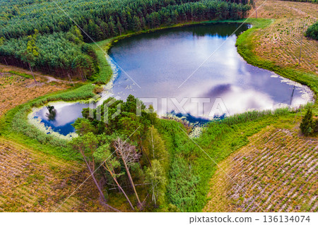 Lake in Tuchola Forests, Poland. Aerial view 136134074
