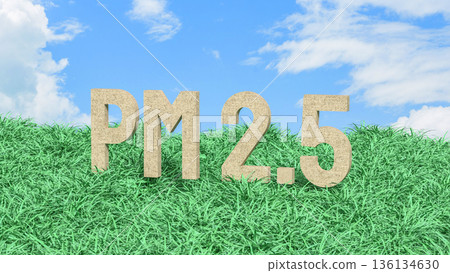 PM25 Air Pollution Level Concept in Green Grass Field 3d render. 136134630