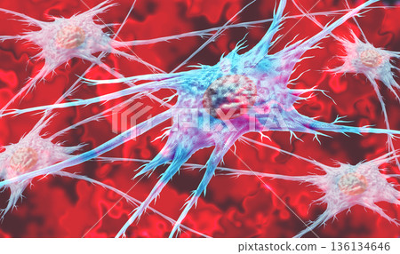 Fibroblast Cell 136134646