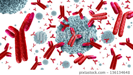 Antibody Immune And White Blood Cell Antibody Immune And White Blood Cell 136134648