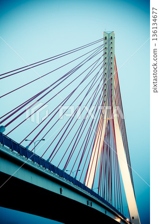 Suspension bridge over Wisla in Gdansk Poland. 136134677