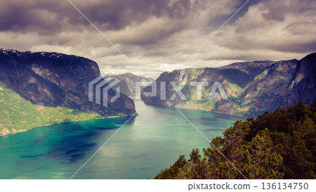 View of the fjords at Stegastein viewpoint in Norway 136134750