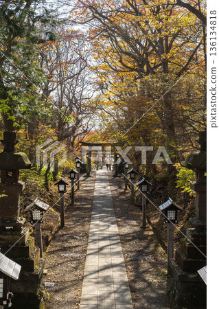 Torii gate and autumn leaves at Nasu Onsen Shrine Torii gate and autumn leaves at Nasu Onsen Shrine 136134818
