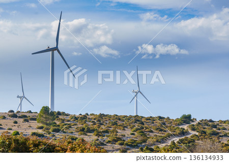 Wind turbine plant, power generator 136134933