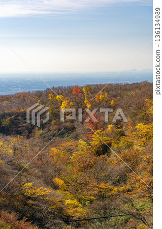 Autumn foliage seen from Nasu Azalea Suspension Bridge 136134989