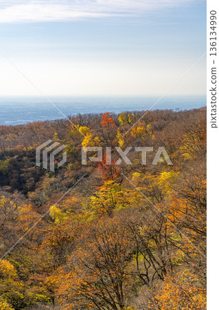 Autumn foliage seen from Nasu Azalea Suspension Bridge 136134990