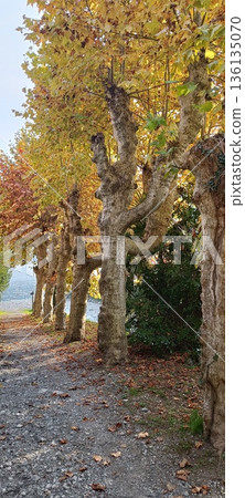 TREMEZZO, ITALY - Lake Como on a cloudy spring evening. 136135070
