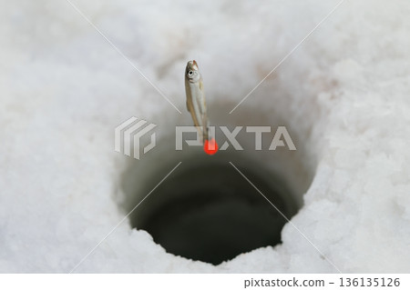 魚被抓住了 136135126