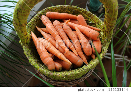 Vegetable Storage. Decor Plant Leaves Over Woven Basket With Raw Young Carrots  136135144