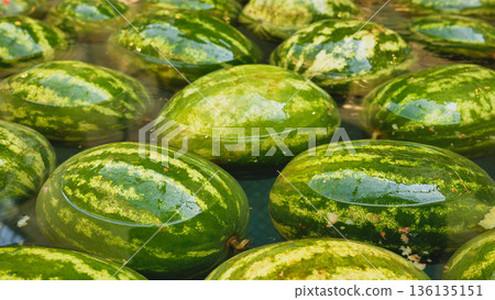 Watermelons floating in water at Moscow market Watermelons floating in water at Moscow market 136135151