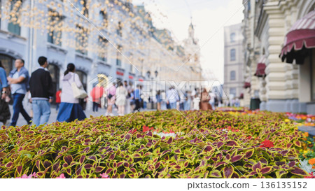 Moscow city street with blurred people walking and flowers 136135152